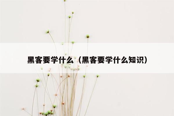 黑客要学什么（黑客要学什么知识）