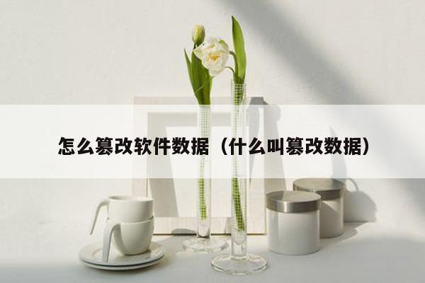 怎么篡改软件数据（什么叫篡改数据）