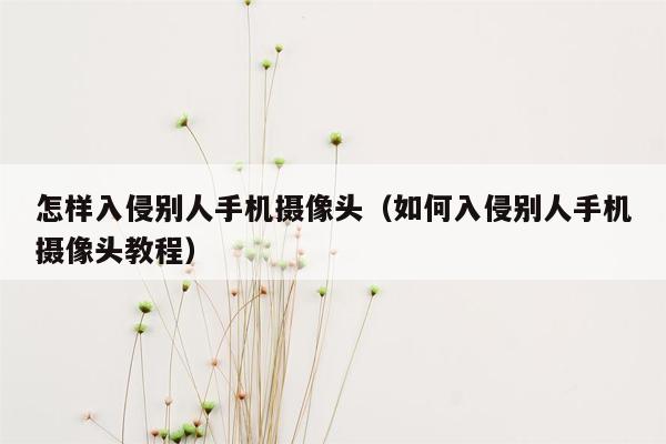 怎样入侵别人手机摄像头（如何入侵别人手机摄像头教程）