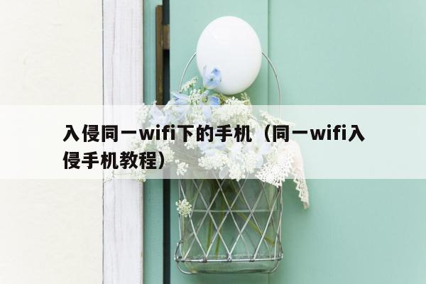 入侵同一wifi下的手机（同一wifi入侵手机教程）