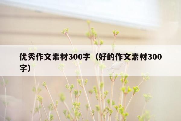 优秀作文素材300字（好的作文素材300字）