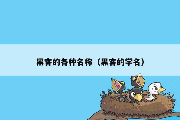 黑客的各种名称（黑客的学名）