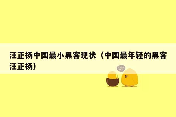 汪正扬中国最小黑客现状（中国最年轻的黑客汪正扬）