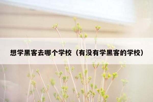 想学黑客去哪个学校（有没有学黑客的学校）