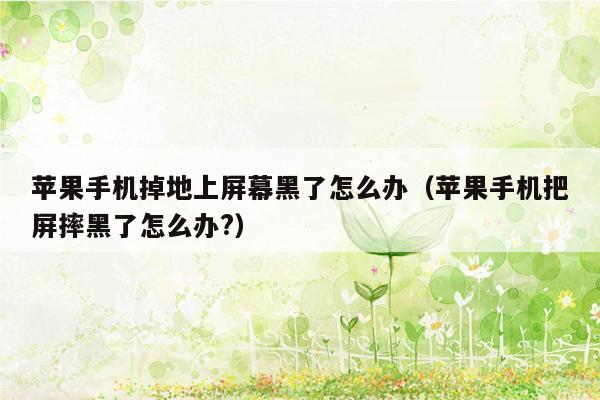 苹果手机掉地上屏幕黑了怎么办（苹果手机把屏摔黑了怎么办?）