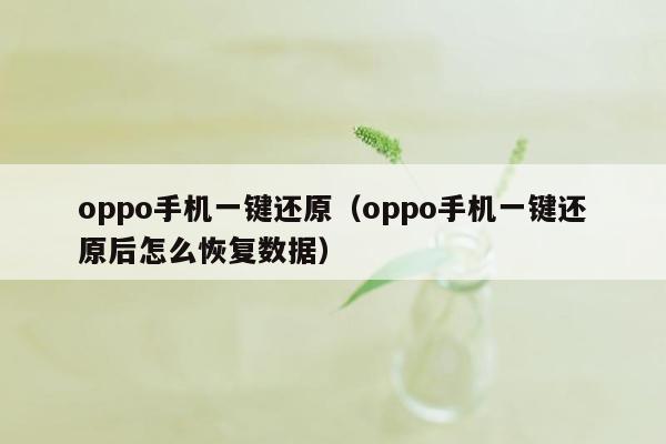 oppo手机一键还原（oppo手机一键还原后怎么恢复数据）