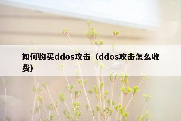 如何购买ddos攻击（ddos攻击怎么收费）