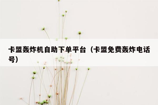 卡盟轰炸机自助下单平台（卡盟免费轰炸电话号）