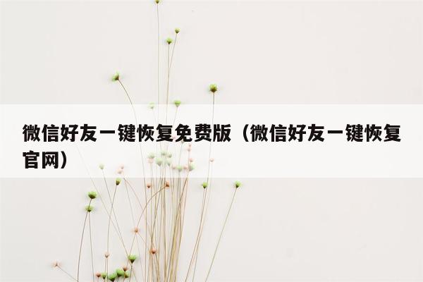 微信好友一键恢复免费版（微信好友一键恢复官网）