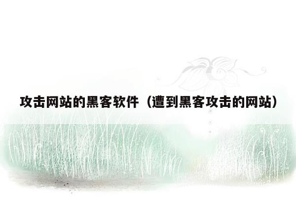 攻击网站的黑客软件（遭到黑客攻击的网站）