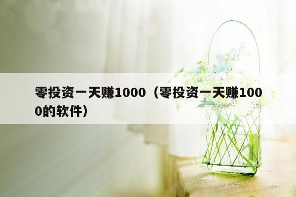 零投资一天赚1000（零投资一天赚1000的软件）