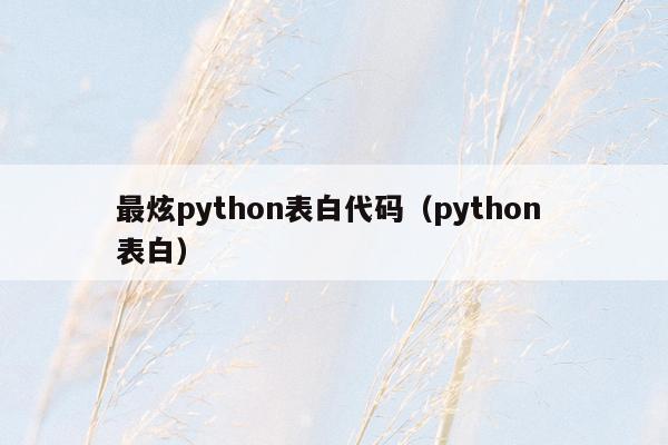 最炫python表白代码（python 表白）