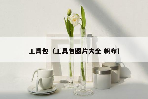 工具包（工具包图片大全 帆布）