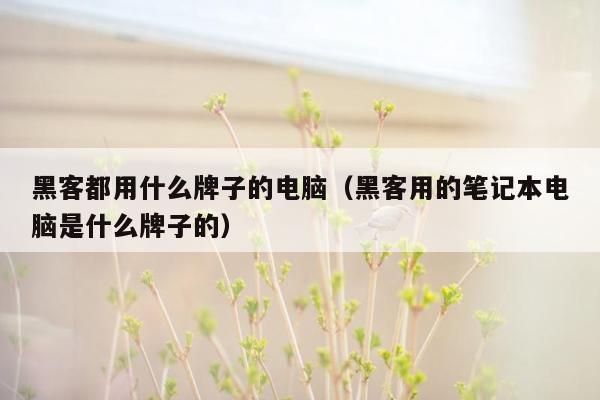 黑客都用什么牌子的电脑（黑客用的笔记本电脑是什么牌子的）