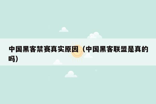 中国黑客禁赛真实原因（中国黑客联盟是真的吗）