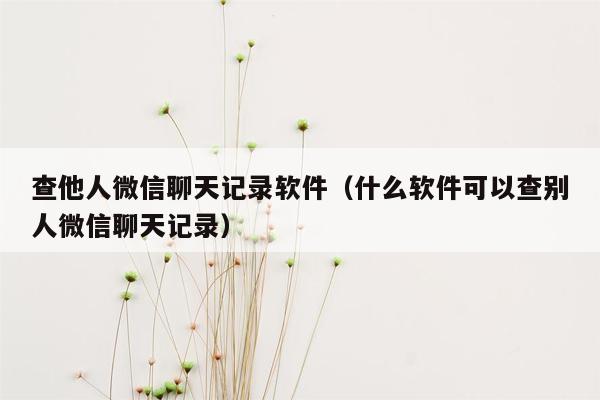 查他人微信聊天记录软件（什么软件可以查别人微信聊天记录）