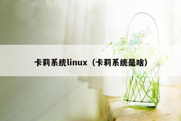 卡莉系统linux（卡莉系统是啥）