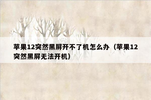 苹果12突然黑屏开不了机怎么办（苹果12突然黑屏无法开机）