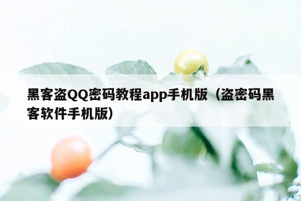 黑客盗QQ密码教程app手机版（盗密码黑客软件手机版）