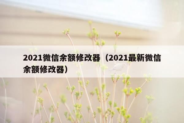 2021微信余额修改器（2021最新微信余额修改器）