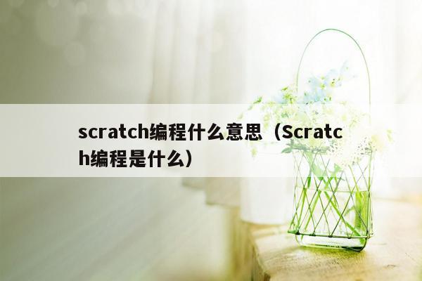 scratch编程什么意思（Scratch编程是什么）