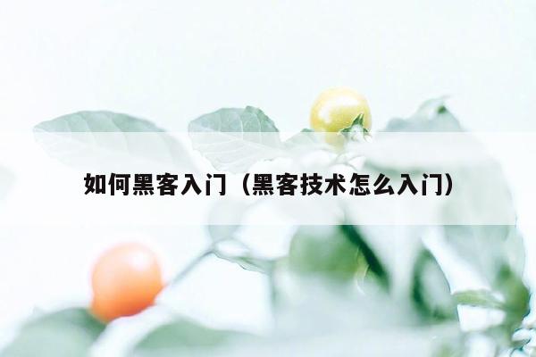 如何黑客入门（黑客技术怎么入门）