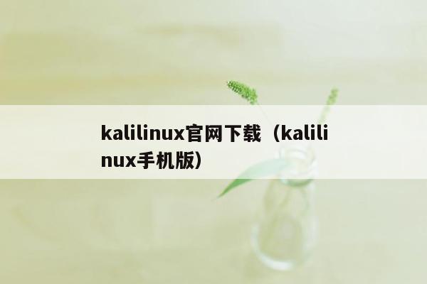 kalilinux官网下载（kalilinux手机版）