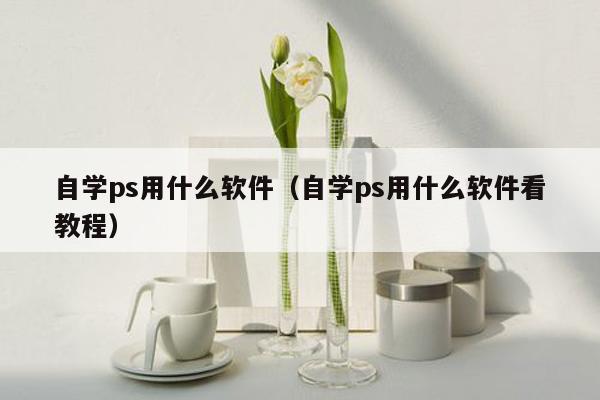 自学ps用什么软件（自学ps用什么软件看教程）