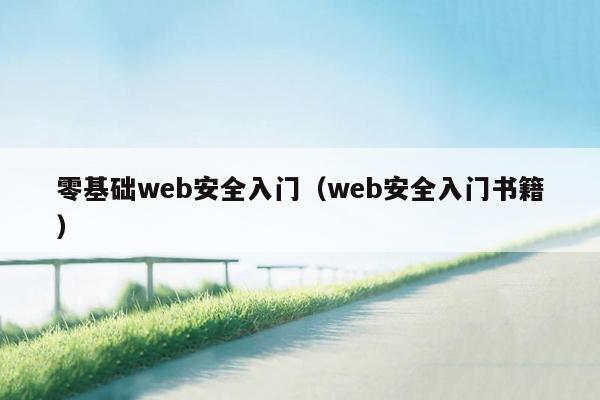 零基础web安全入门（web安全入门书籍）