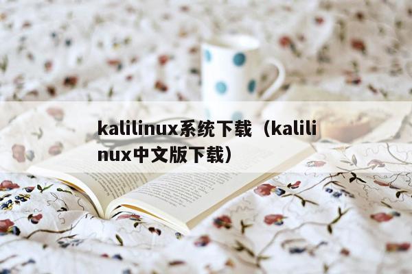 kalilinux系统下载（kalilinux中文版下载）