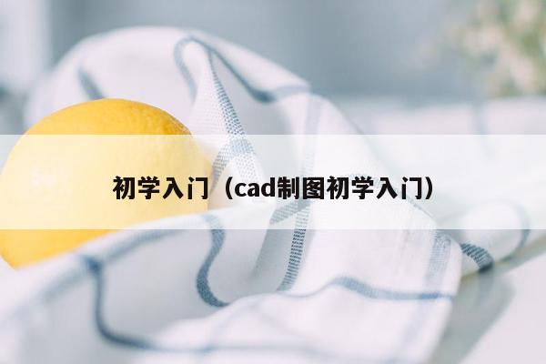 初学入门（cad制图初学入门）