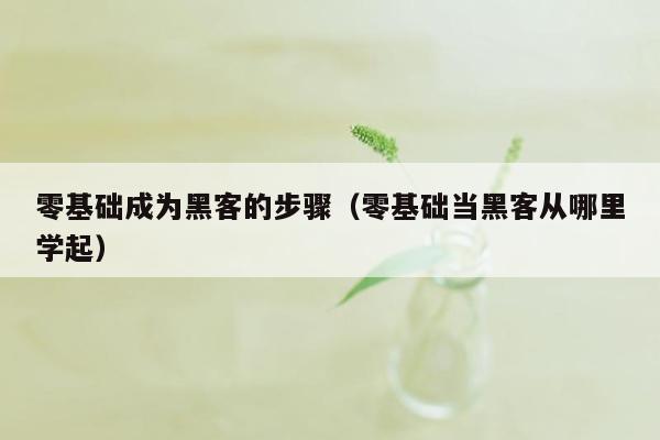 零基础成为黑客的步骤（零基础当黑客从哪里学起）