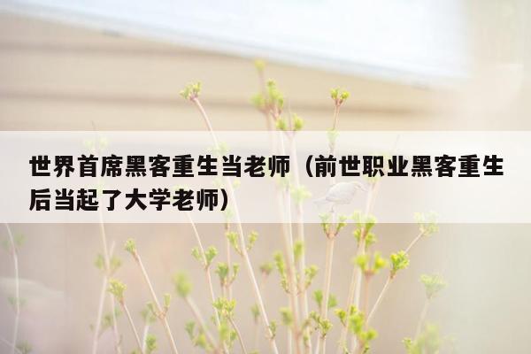 世界首席黑客重生当老师（前世职业黑客重生后当起了大学老师）