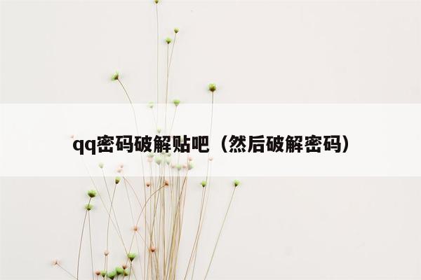 qq密码破解贴吧（然后破解密码）