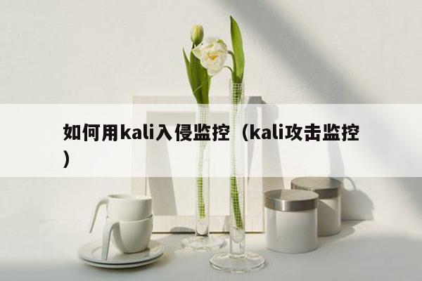 如何用kali入侵监控（kali攻击监控）