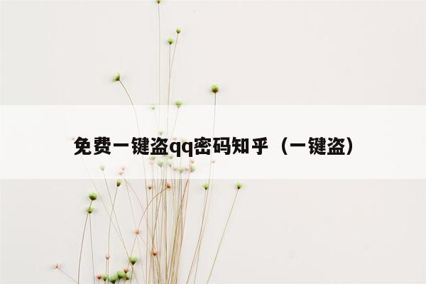 免费一键盗qq密码知乎（一键盗）