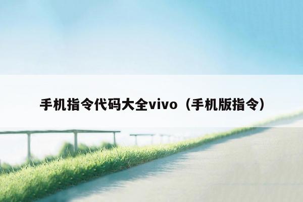 手机指令代码大全vivo（手机版指令）