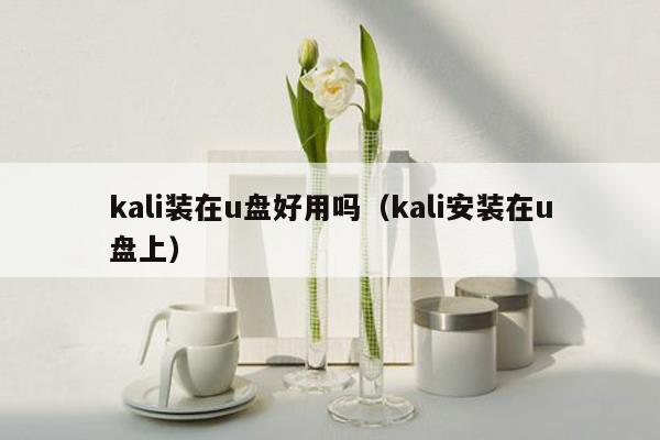 kali装在u盘好用吗（kali安装在u盘上）