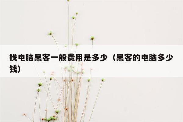 找电脑黑客一般费用是多少（黑客的电脑多少钱）