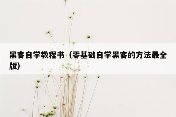 黑客自学教程书（零基础自学黑客的方法最全版）