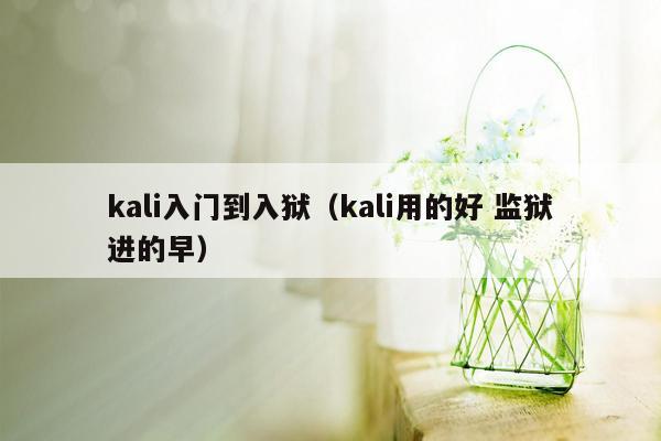 kali入门到入狱（kali用的好 监狱进的早）