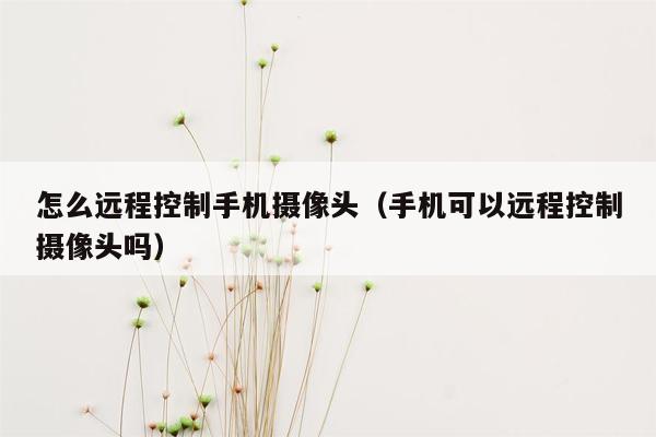 怎么远程控制手机摄像头（手机可以远程控制摄像头吗）