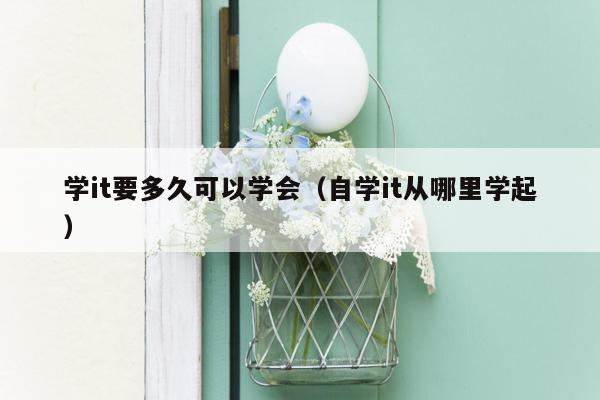 学it要多久可以学会（自学it从哪里学起）