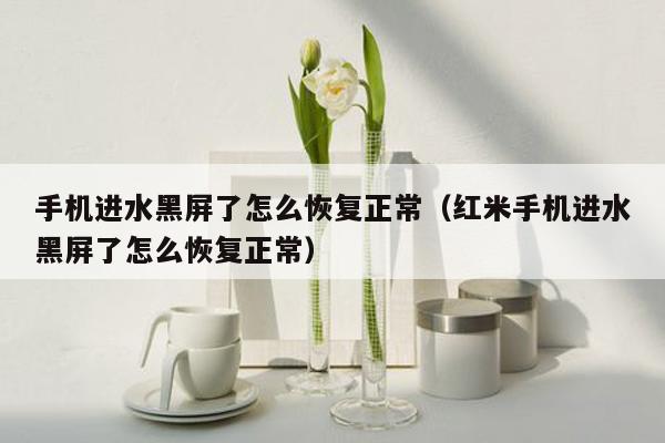 手机进水黑屏了怎么恢复正常（红米手机进水黑屏了怎么恢复正常）