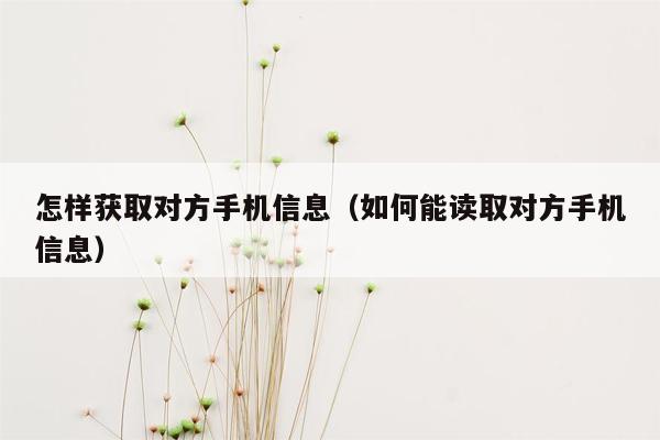 怎样获取对方手机信息（如何能读取对方手机信息）