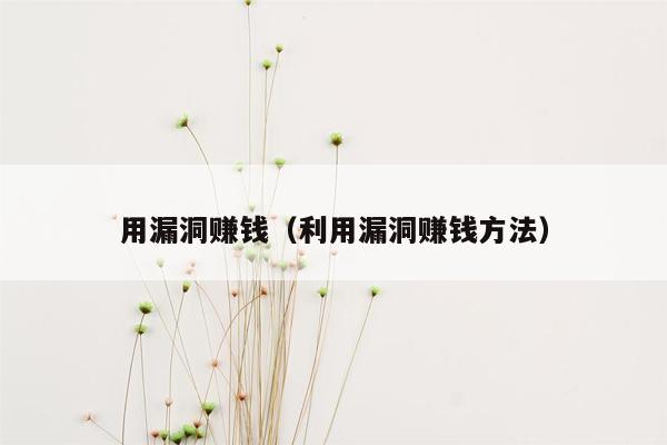 用漏洞赚钱（利用漏洞赚钱方法）