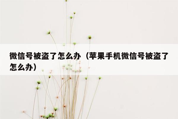 微信号被盗了怎么办（苹果手机微信号被盗了怎么办）