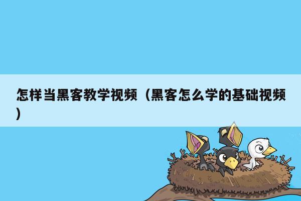 怎样当黑客教学视频（黑客怎么学的基础视频）