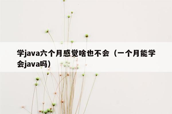 学java六个月感觉啥也不会（一个月能学会java吗）