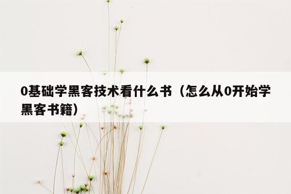 0基础学黑客技术看什么书（怎么从0开始学黑客书籍）